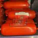 sausage in a tube